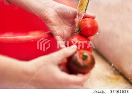 Woman washing organic homegrown tomatoes in kitchen sink. Slow motion. Woman washing organic homegrown tomatoes in kitchen sink. Slow motion. 57461638