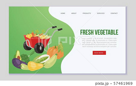 Farm eco vegetables and organic food vector web template. Illustration with hand barrow full of Farm eco vegetables and organic food vector web template. Illustration with hand barrow full of 57461969