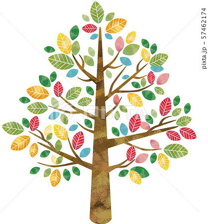 Large Trees And Trees Nature Large Trees Stock Illustration