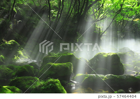 夏の元滝伏流水 57464404