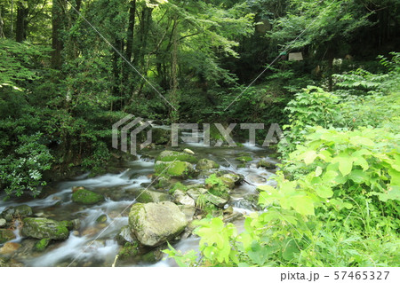 渓谷 57465327