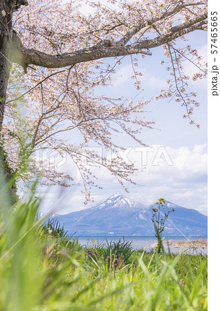 春の会津磐梯山と猪苗代湖 57465665