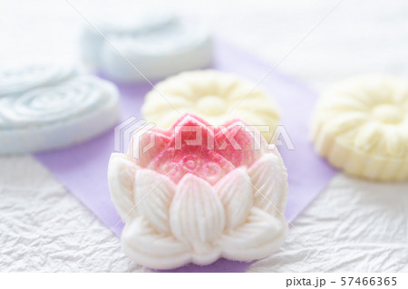和菓子　落雁 57466365