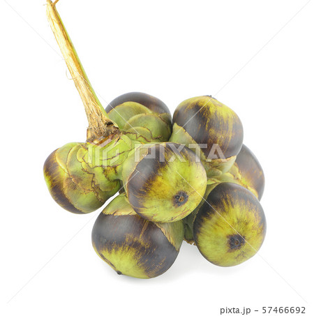 Asian Palmyra palm, fruit on white background. 57466692