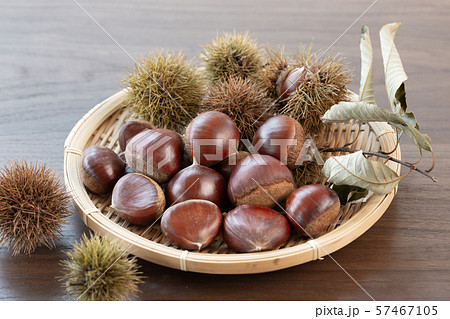 栗 農産品 栗 農産品 57467105