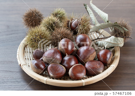 栗 農産品 栗 農産品 57467106