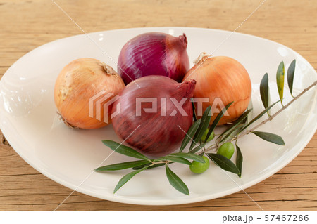 オリーブと玉ねぎ 57467286