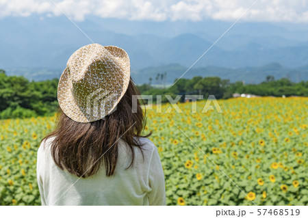 【明野 ヒマワリ畑】 【明野 ヒマワリ畑】 57468519