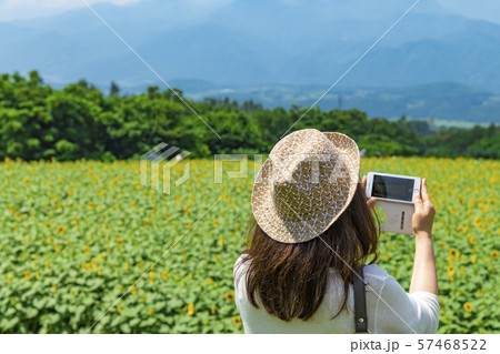 【明野　ヒマワリ畑】 57468522