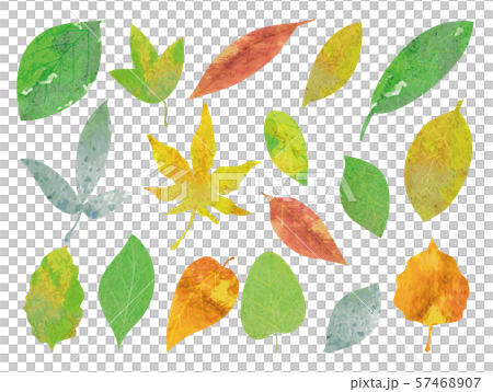 手描き 葉 水彩 手描き 葉 水彩 57468907