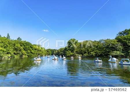 【東京都】吉祥寺　井の頭公園 57469562