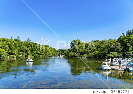 【東京都】吉祥寺　井の頭公園 57469575