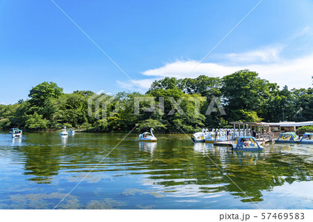 【東京都】吉祥寺　井の頭公園 57469583