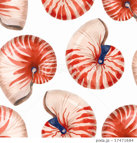 Watercolor Sea Life Nautilus Shell Vector Patternのイラスト素材