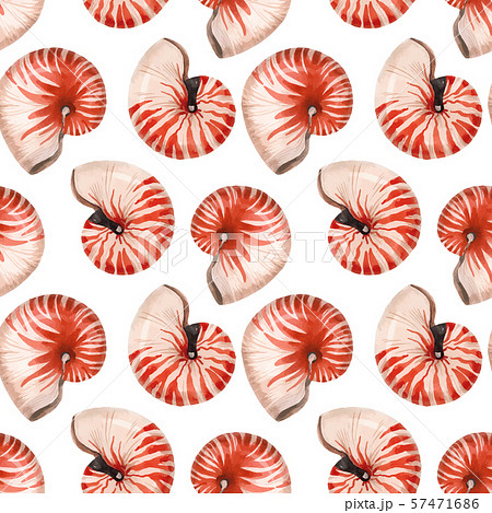 Watercolor Sea Life Nautilus Shell Vector Patternのイラスト素材