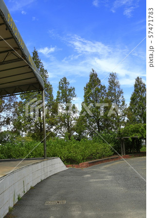 サウスビレッジの広場 57471783