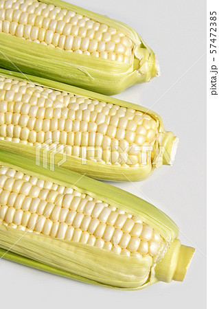 とうもろこし（ロイシーコーン） 57472385
