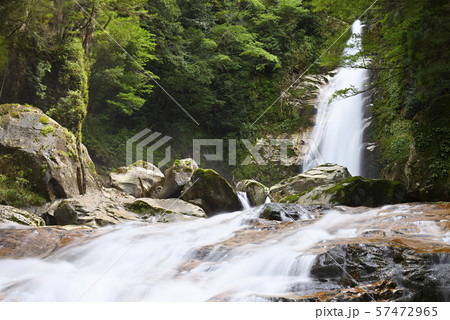 笹の滝 滝川渓谷(奈良県吉野郡十津川村) 笹の滝 滝川渓谷(奈良県吉野郡十津川村) 57472965