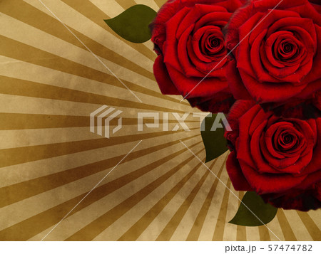 Grunge Background With Roses 57474782