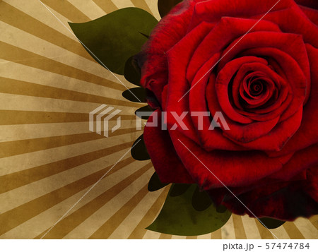 Grunge Background With Rose Grunge Background With Rose 57474784