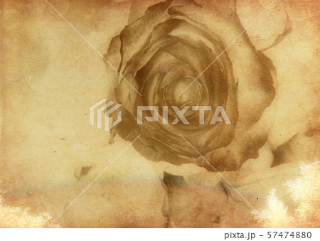 Abstract grunge rose 57474880
