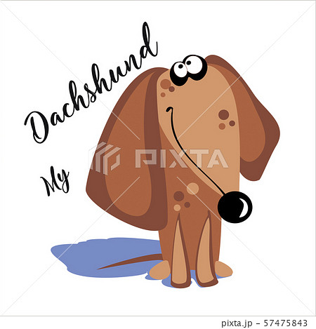 My Dachshund. Lettering. A cartoon dog. Funny, funny. Vector illustration. My Dachshund. Lettering. A cartoon dog. Funny, funny. Vector illustration. 57475843
