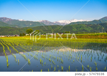 《富山県》夕暮れの長閑な田園風景 57479336