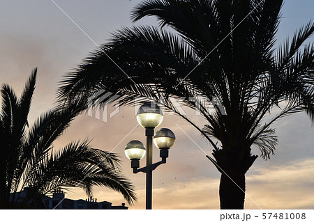 美しい場所世界遺産のような街ニース 美しい場所世界遺産のような街ニース 57481008