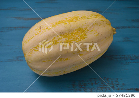 ソウメンカボチャ ソウメンカボチャ 57481590