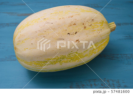 ソウメンカボチャ 57481600