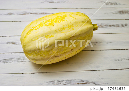 ソウメンカボチャ ソウメンカボチャ 57481635