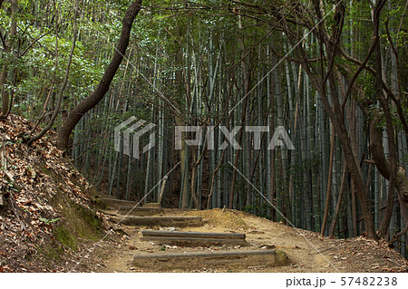 山崎の戦い　古戦場 57482238