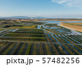 Oysters farm rows near Lagos, Algarve, Portugal aerial drone view 57482256