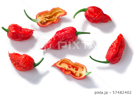 Bhut Jolokia ghost pepper c. chinense, paths, top 57482402
