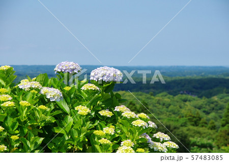 野見金公園(千葉県長南町) 野見金公園(千葉県長南町) 57483085