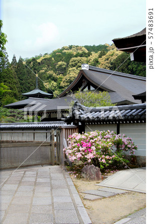 苔寺　西芳寺　本堂　書院　三重納経塔　を望む 57483691
