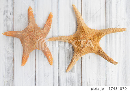 Big starfishs on white wood table top 57484070