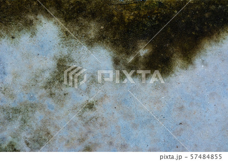 Moss background, Green moss on grunge texture. Moss background, Green moss on grunge texture. 57484855