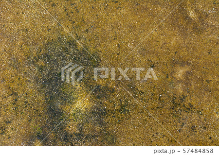Moss background, Green moss on grunge texture. Moss background, Green moss on grunge texture. 57484858