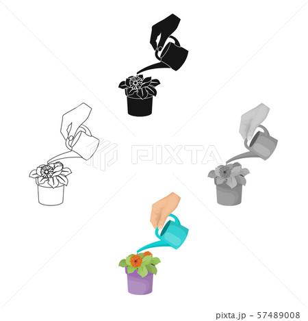 Watering the houseplant in a pot. Home Flower single icon in cartoon,black style vector symbol stock 57489008