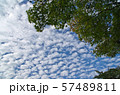 うろこ雲 57489811