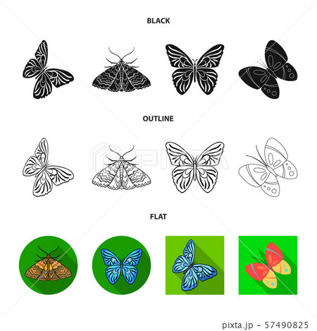 Vector design of color and spring symbol. Collection of color and fly stock symbol for web. 57490825