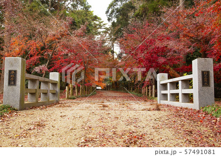 平林寺境内林 平林寺橋 平林寺境内林 平林寺橋 57491081