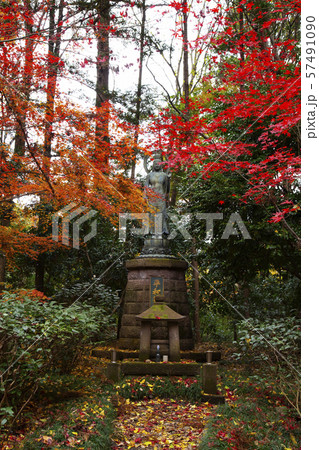 平林寺境内林 57491090