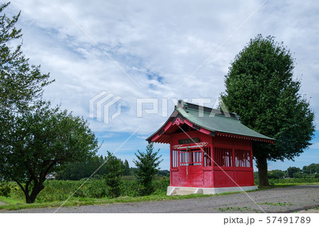 見沼の弁財天 57491789