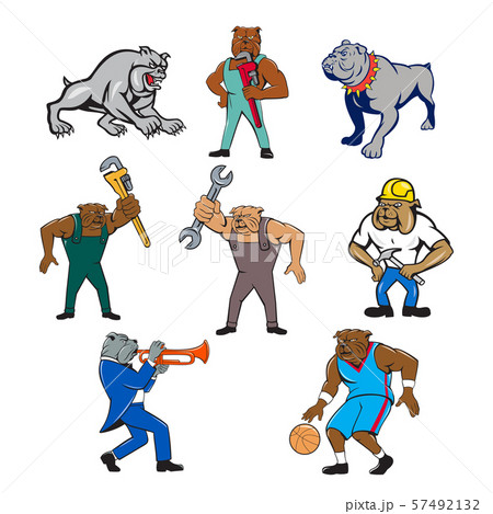 Bulldog Mascot Cartoon Set 57492132