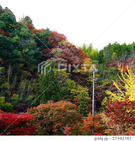 香嵐渓 紅葉 香嵐渓 紅葉 57492767