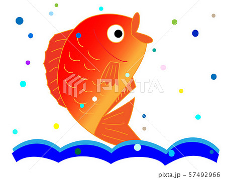 新鮮な鯛 57492966