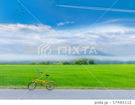 green paddy rice field with the bicycle, the road, the beautiful sky and cloud, Thailand fuji mountain. 57493112