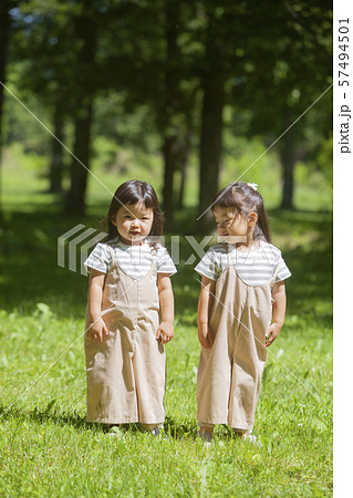 双子の姉妹 57494501